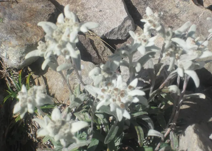 El Retiro Сasa de vacaciones Laspuña